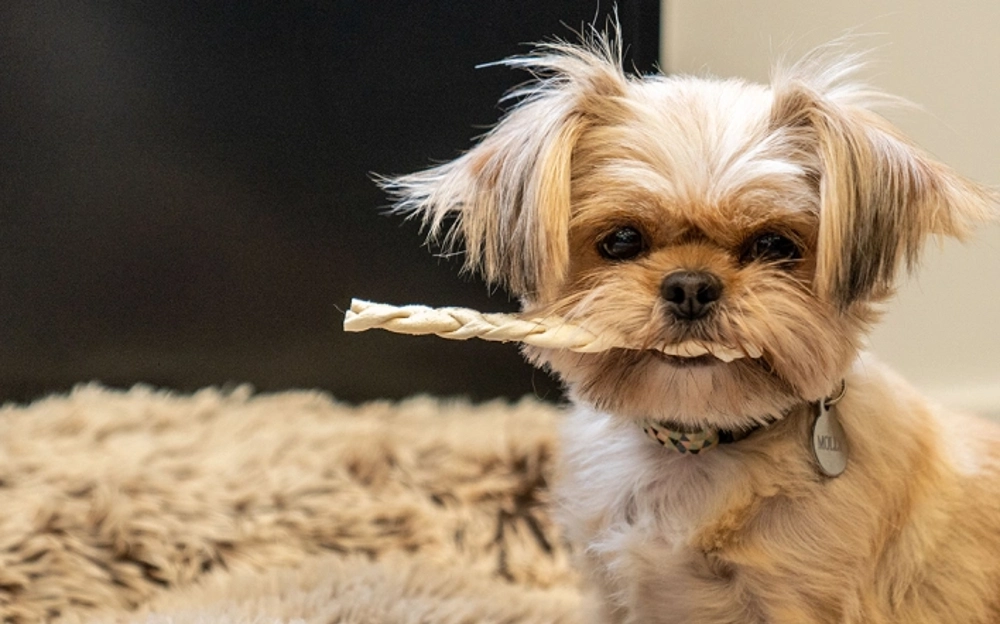 Putting your wellbeing front and centre